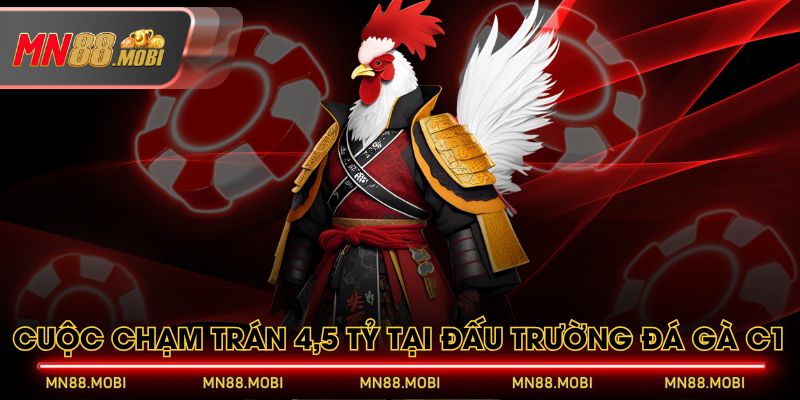 Cuộc chạm trán 4,5 tỷ tại đấu trường đá gà C1 Cuộc chạm trán 4,5 tỷ tại đấu trường đá gà C1