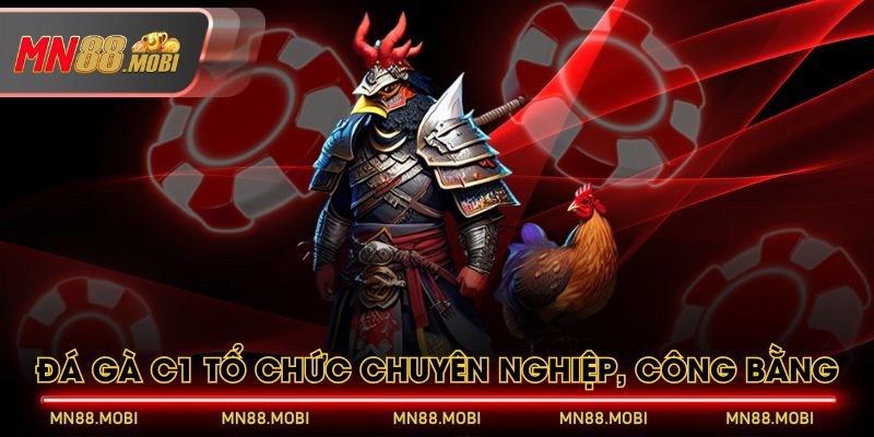 Đá gà C1 tổ chức chuyên nghiệp, công bằng Đá gà C1 tổ chức chuyên nghiệp, công bằng