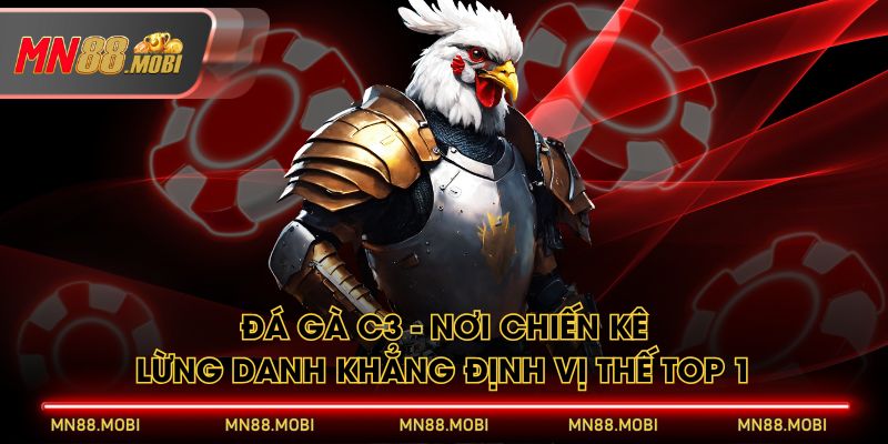Đá Gà C3