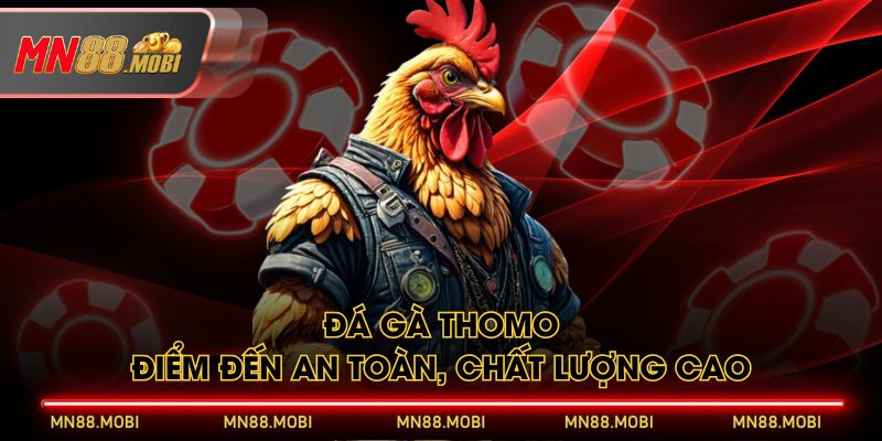 Đá gà Thomo - Điểm đến an toàn, chất lượng cao Đá gà Thomo - Điểm đến an toàn, chất lượng cao