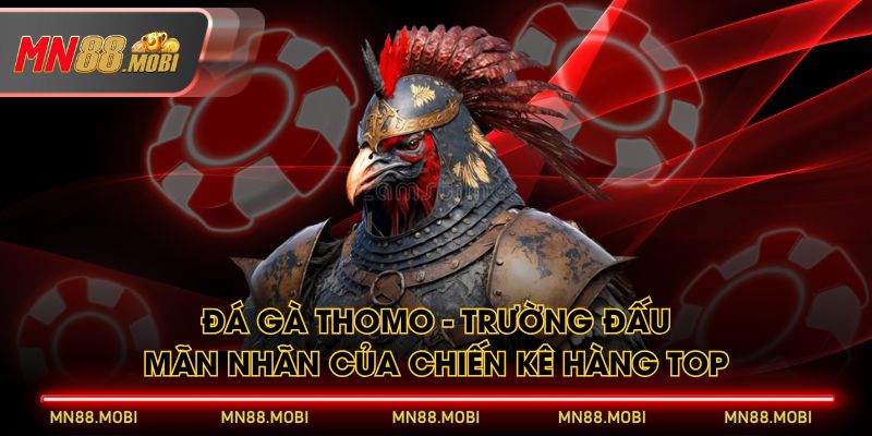 Đá Gà Thomo
