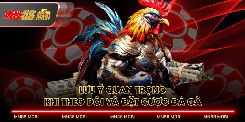 Lưu ý quan trọng khi theo dõi và đặt cược đá gà Lưu ý quan trọng khi theo dõi và đặt cược đá gà