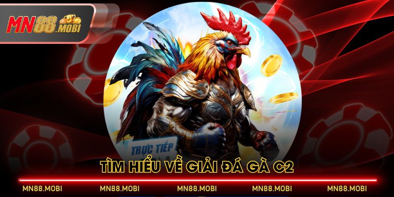 Tìm hiểu về giải đá gà C2 Tìm hiểu về giải đá gà C2