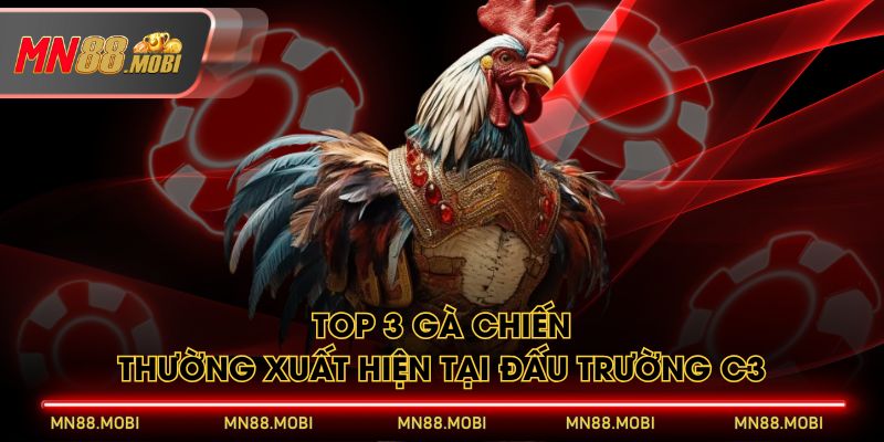Top 3 gà chiến thường xuất hiện tại đấu trường C3