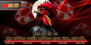 Xem Đá Gà C2