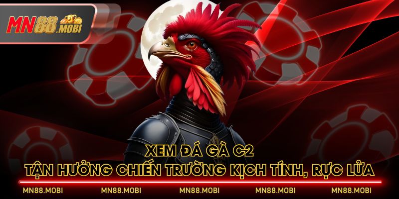Xem Đá Gà C2